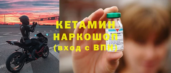 гашик Алексин