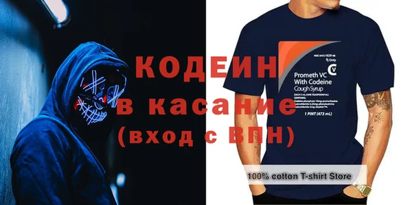 гашик Алексин