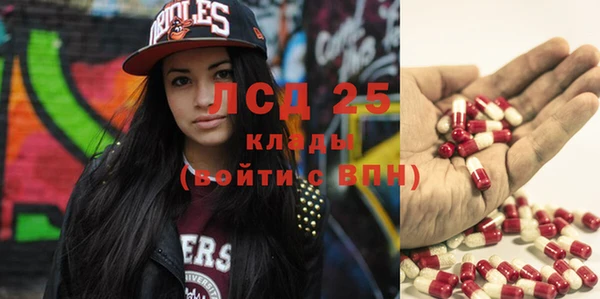 гашик Алексин