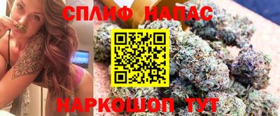дживик Кунгур