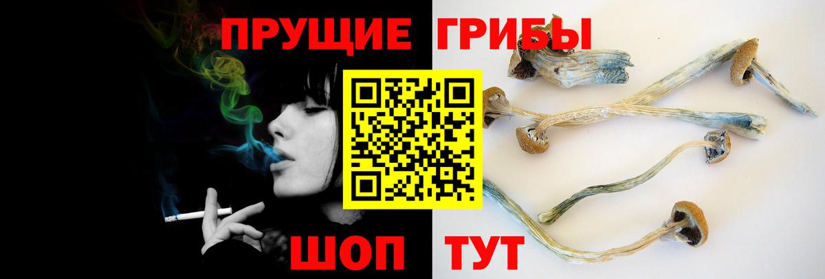 Галлюциногенные грибы мухоморы  закладка  Кольчугино  Вход с VPN 